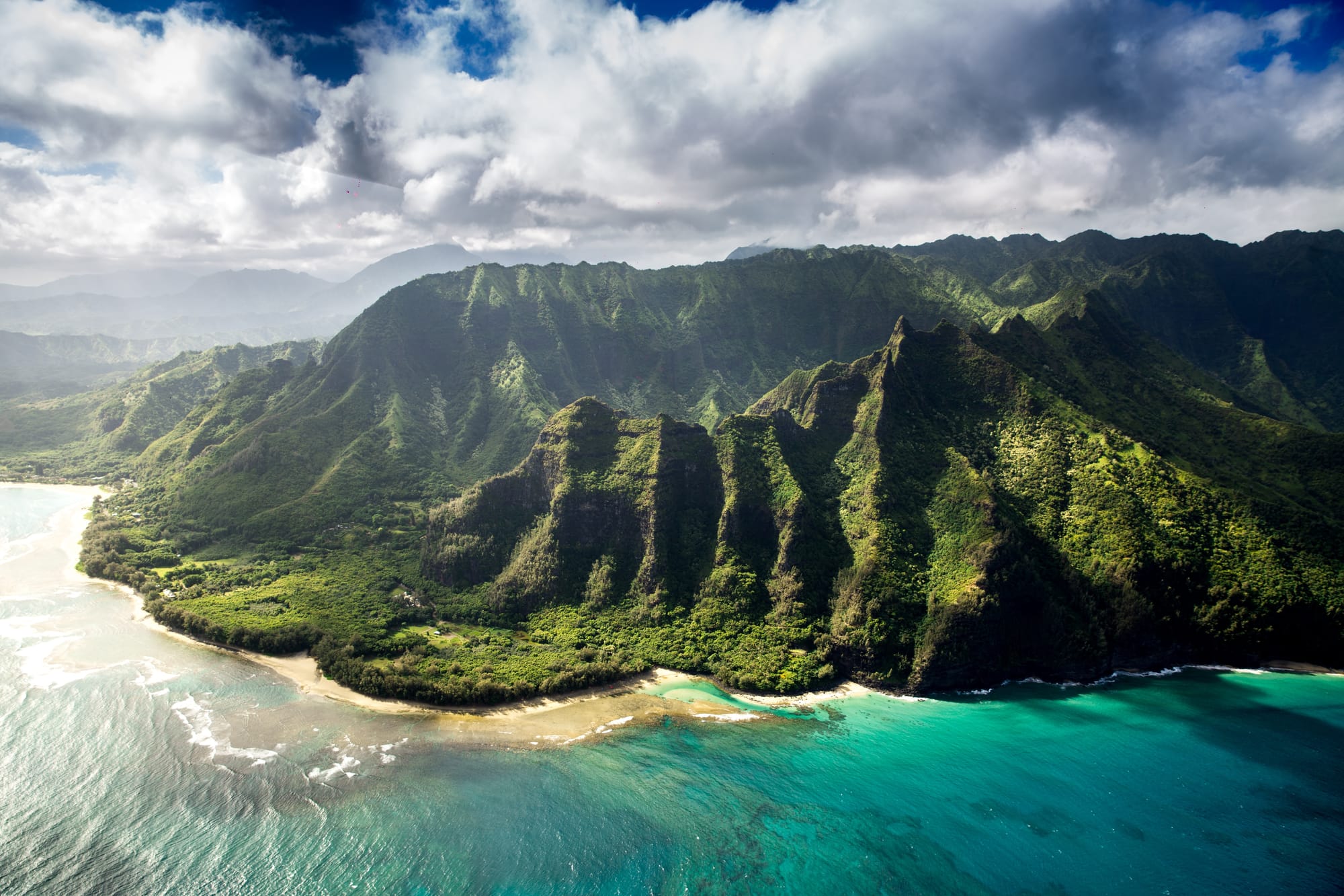 Leni Provine Birthday Hawaii